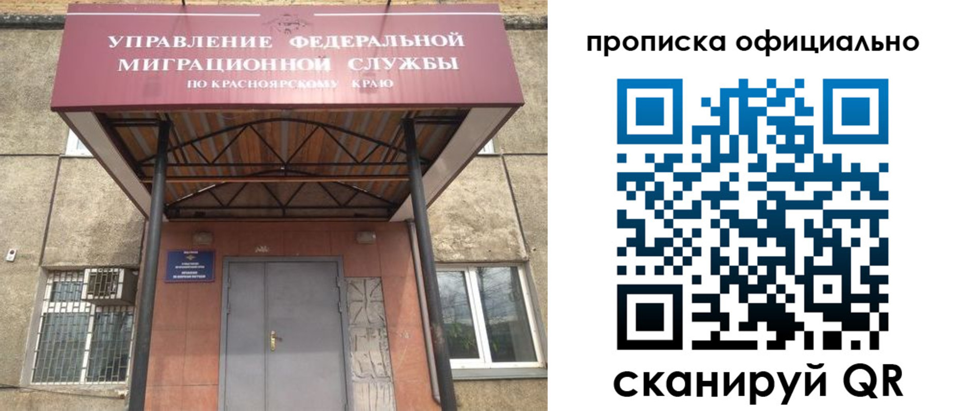 прописка поиск в Бабаево